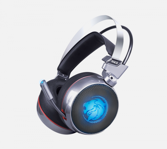 Gaming Headset with Mic